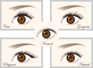 色々なまつげ